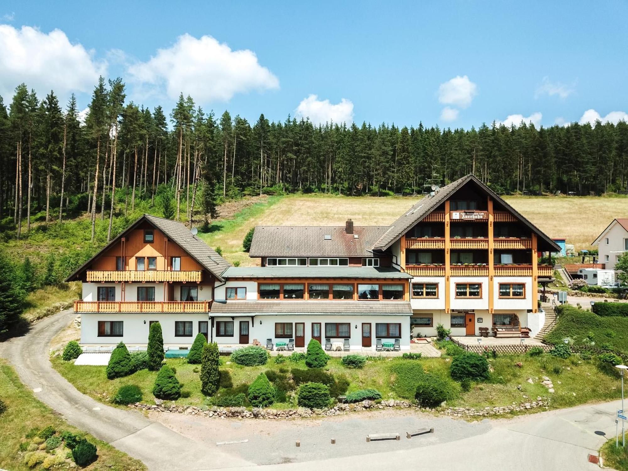 Auerhahn Bed And Breakfast - Black Forest - Waldhotel Eisenbach  Exterior photo